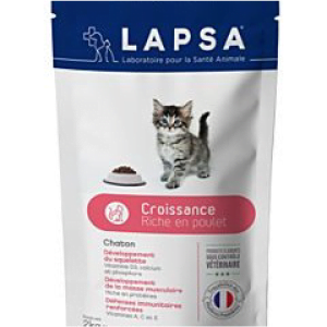 croquette lapsa